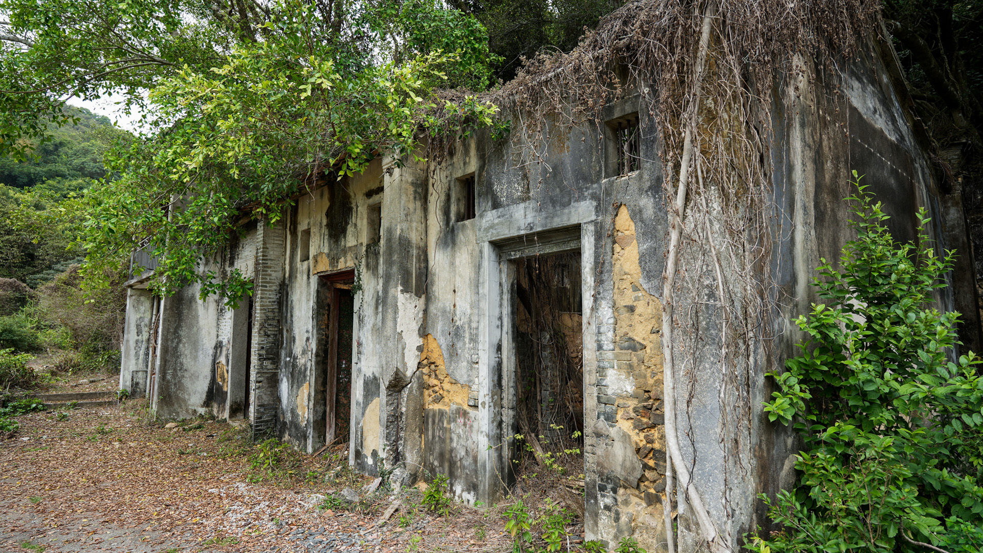 榕树凹村则用天然地形防御，这些村落展现客家人注重实用与团结的精神， 等待着你去发掘！