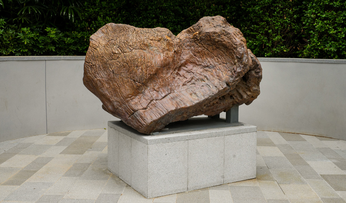 Located in the heart of Tsuen Wan West, Nina Park features a giant Nina Rock which is expected to become a popular photo spot. 