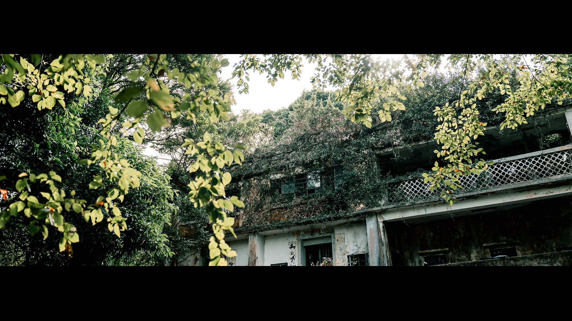 保育项目于沙头角榕树凹村，透过保育香香屋推动艺术文化传承与社区发展，展现文化保育价值，香港华懋集团