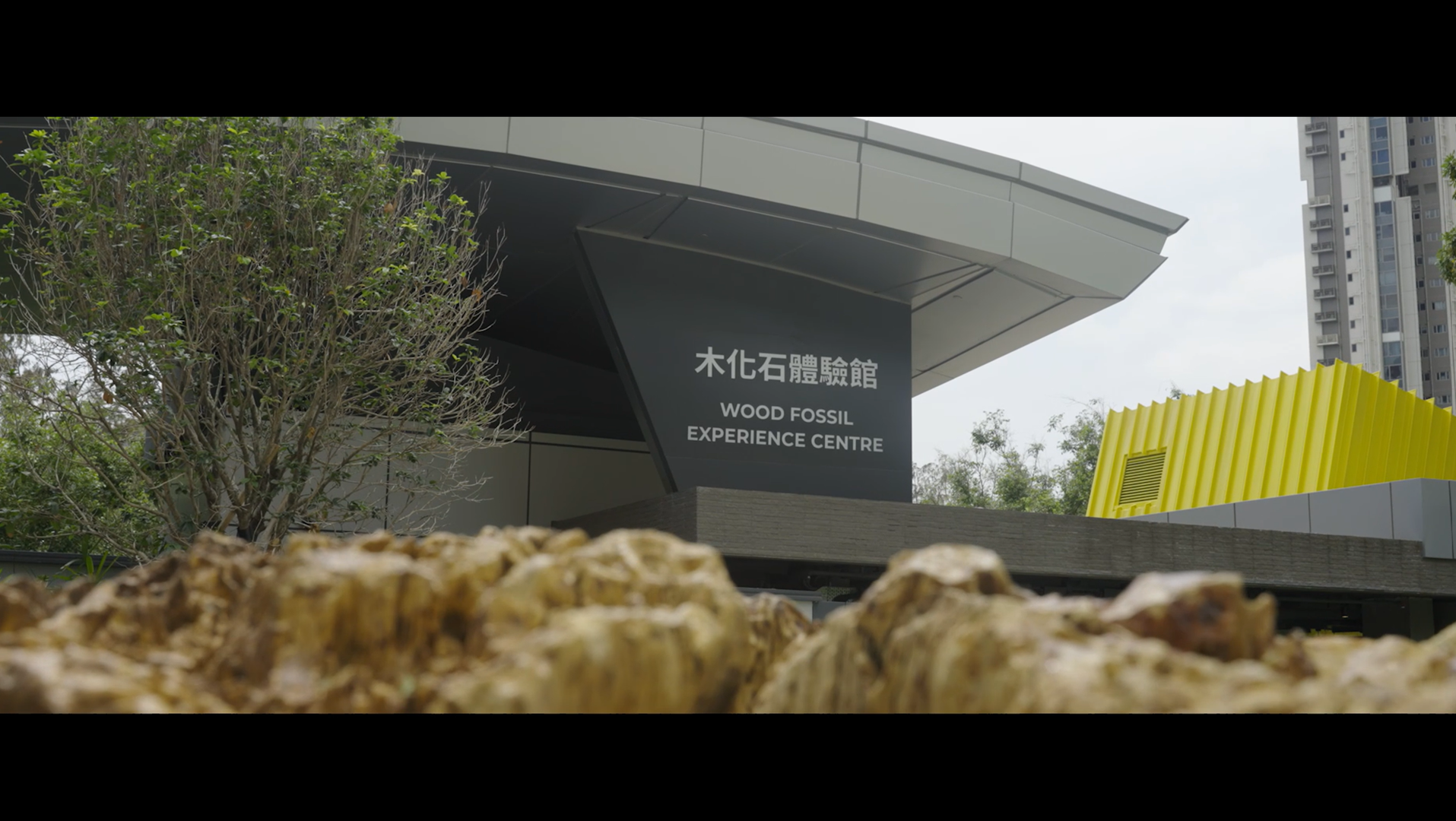 Video Poster