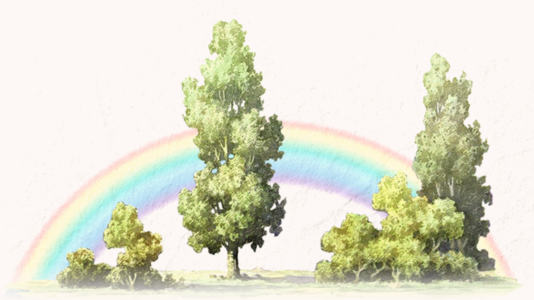 profile-leadin-banner