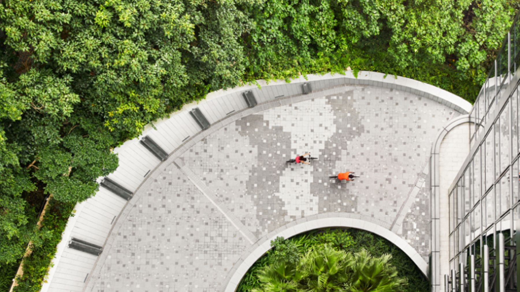 profile-leadin-banner