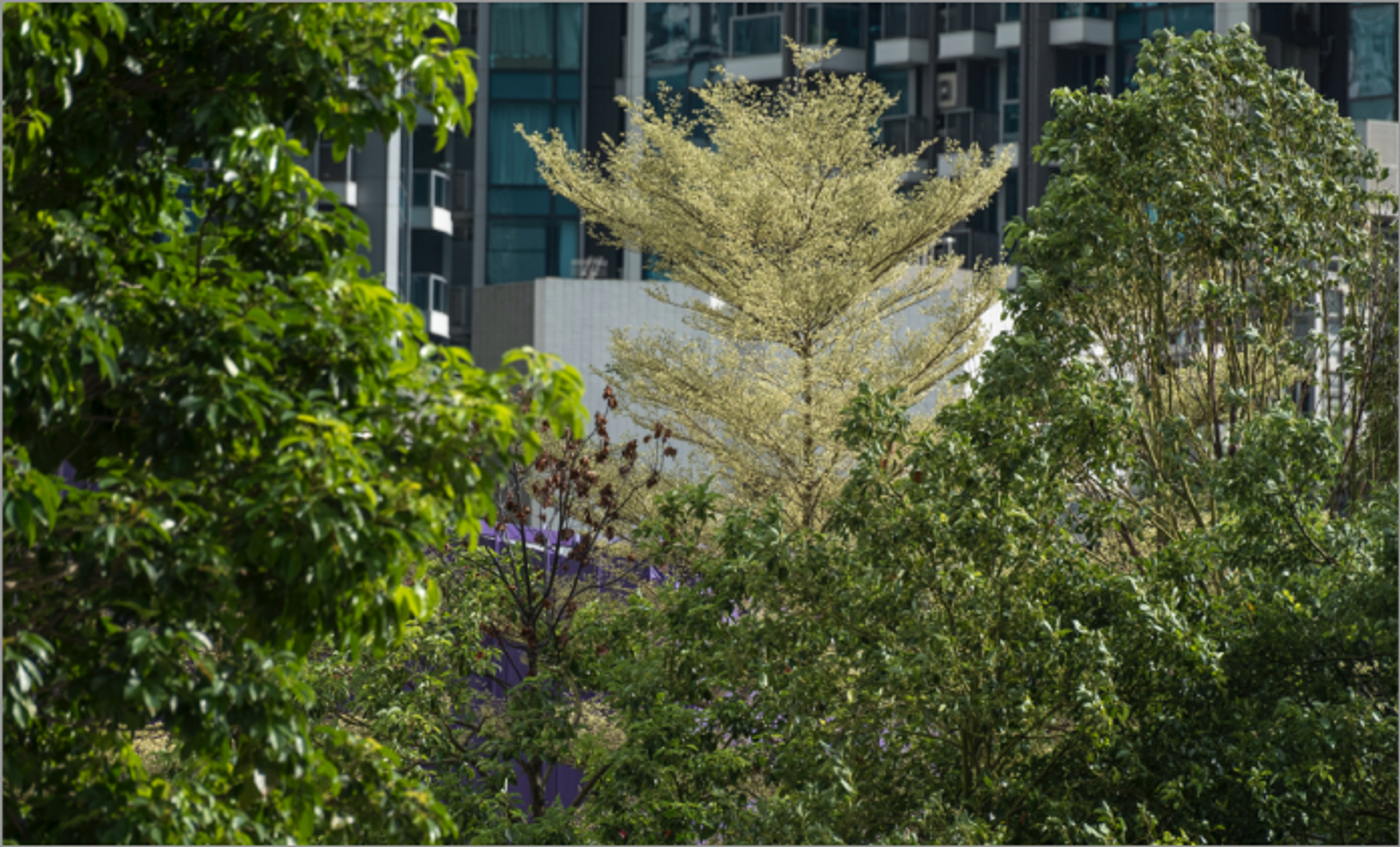 profile-leadin-banner