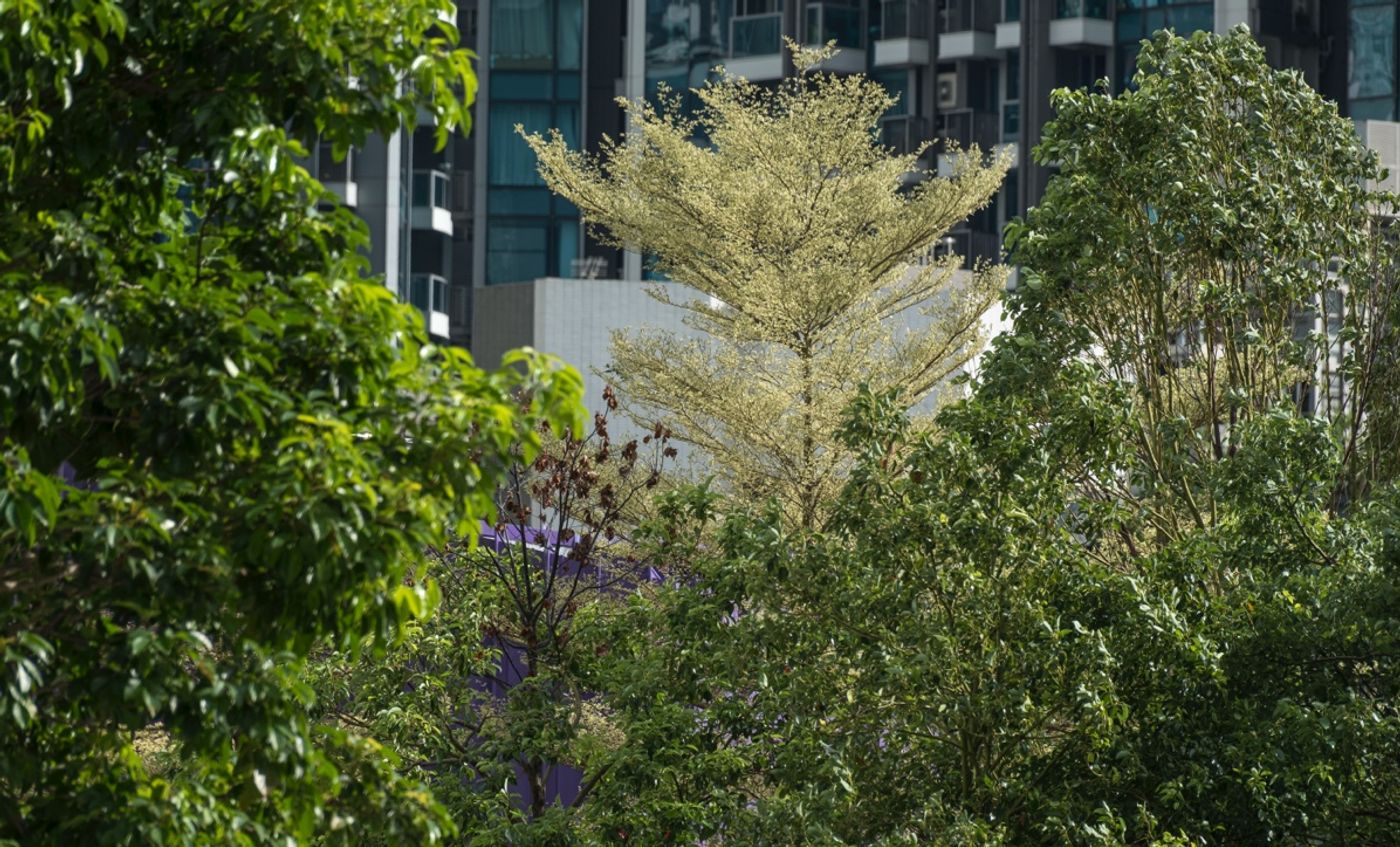 Promoting Biodiversity in Urban Park-2