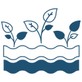Hydroponic