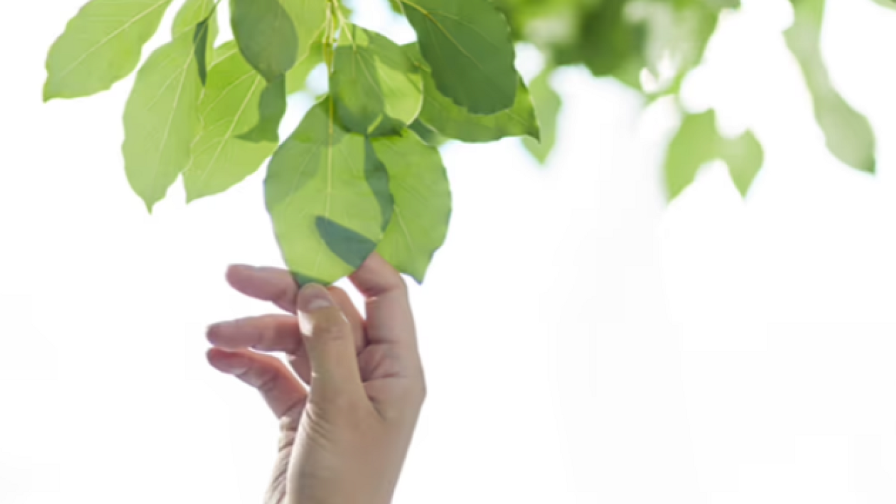 profile-leadin-banner