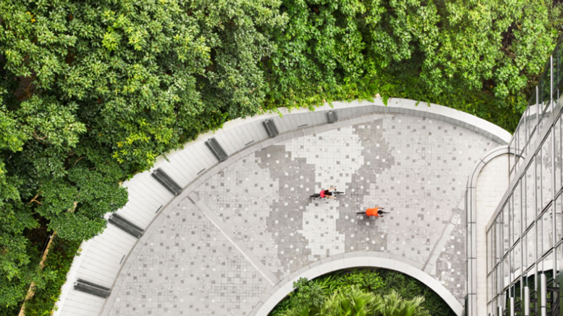 looking-ahead-leadin-banner