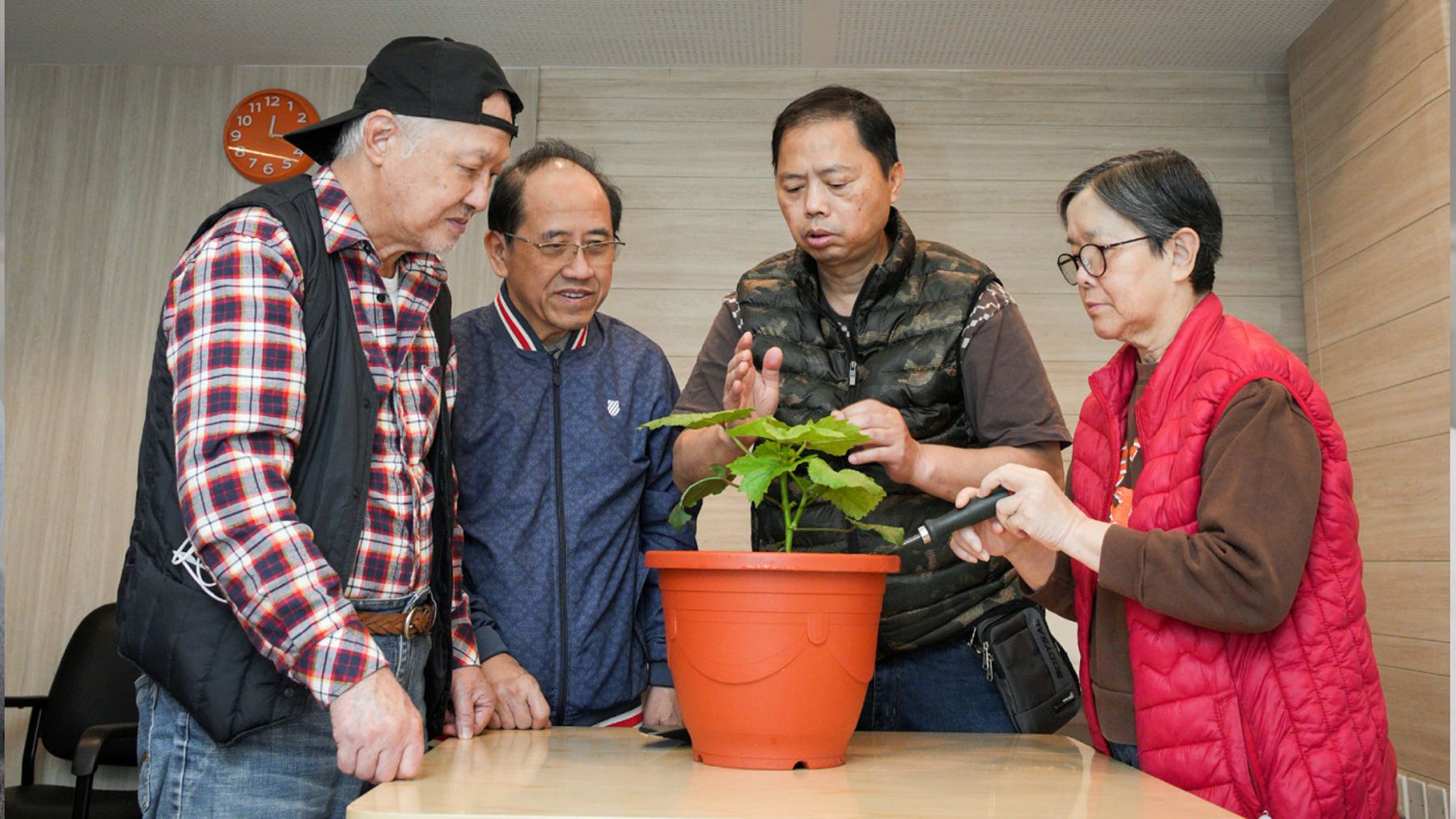 profile-leading-banner