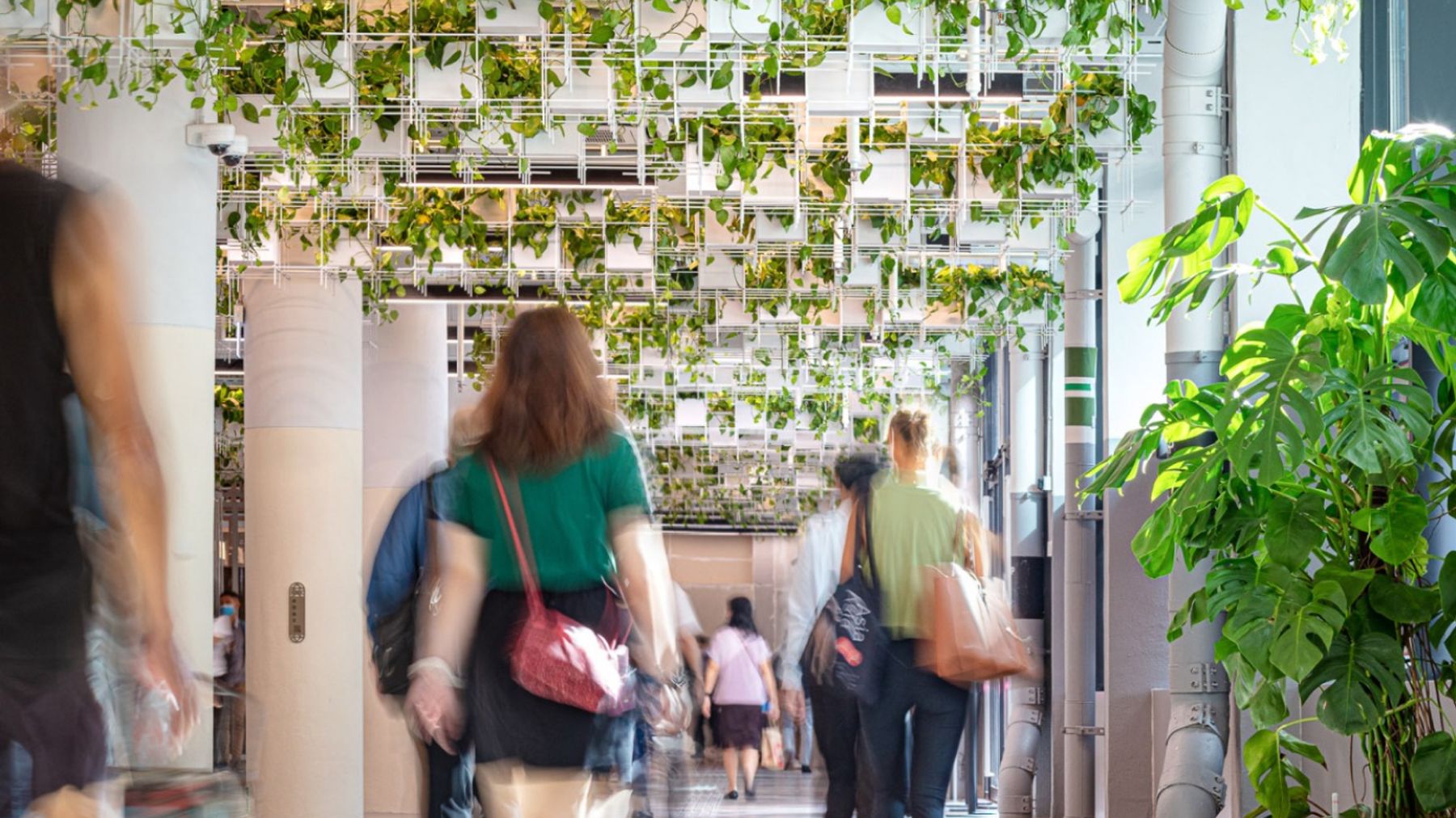 profile-leadin-banner