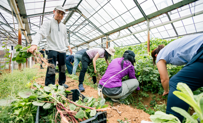 social-dedication-measures