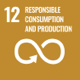 SDG 12
