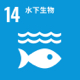 SDG 14